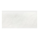 24x48 Aria Ice Polished Porcelain Tile (Approx. 16 sf/box)