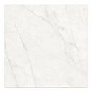 24x24 Majesto Ariel Bianco Honed Rectified Colorsync Porcelain Tile