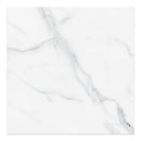 24x24 Majesto Statuario Polished Rectified Colorsync Porcelain Tile