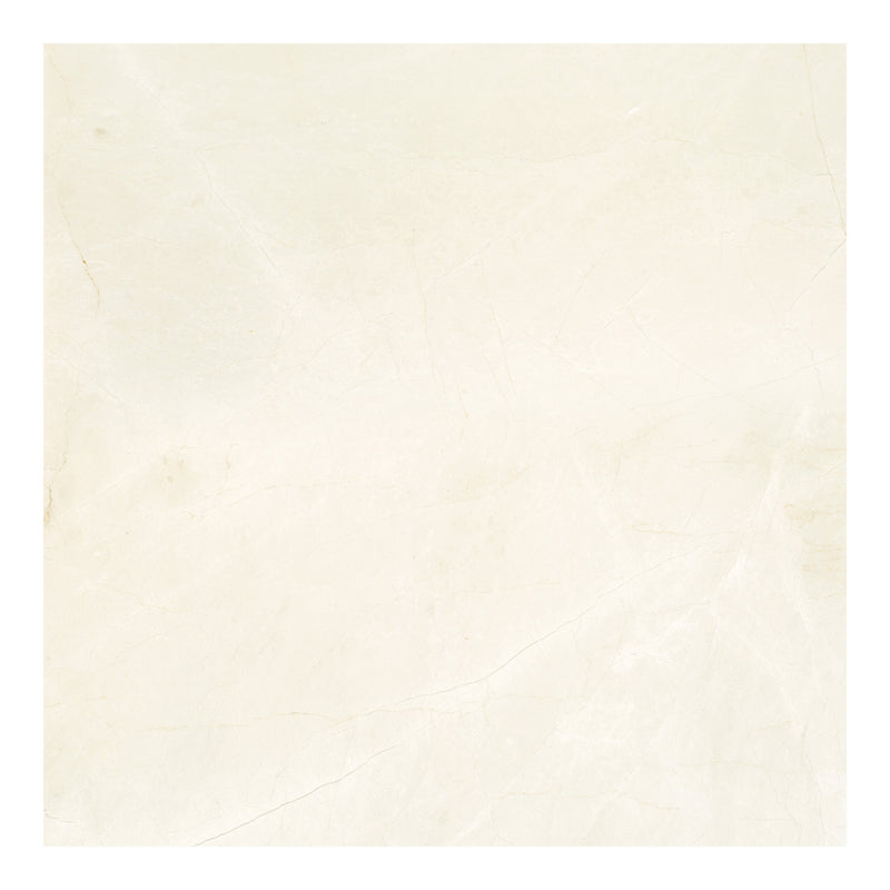 24x24 Avorio Crema Honed Marble Tile