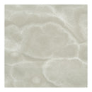24x24 Lustra Onyx Feather Honed Rectified Colorsync Porcelain Tile