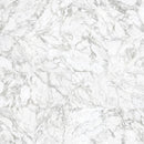 24x24 La Marca Arabescato Honed Rectified Glazed Porcelain Tile