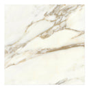 24x24 Calacatta Gold Polished Porcelain Tile