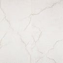 24x24 Brighton Gold Polished Porcelain Tile