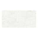 24x48 Majesto Ariel Bianco Honed Rectified Colorsync Porcelain Tile