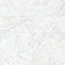 24x48 Majesto Bianco Gioia Polished Rectified Colorsync Porcelain Tile