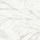 24x48 Majesto Calacatta Borghini Polished Rectified Colorsync Porcelain Tile