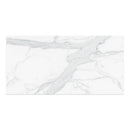 24x48 Majesto Statuario Honed Rectified Colorsync Porcelain Tile
