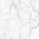 24x48 Majesto Statuario Honed Rectified Colorsync Porcelain Tile