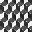 12mm 24x48 Nordic Axis Noir Semi-Polished Porcelain Tile (24 CT/PA)