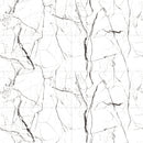 24x48 Cosmic White Polished Porcelain Tile