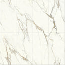 24x48 Calacatta Gold Matte Porcelain Tile (32 CT/PA)