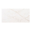 24x48 Brighton Gold Polished Porcelain Tile (Approx. 16 sf/box)