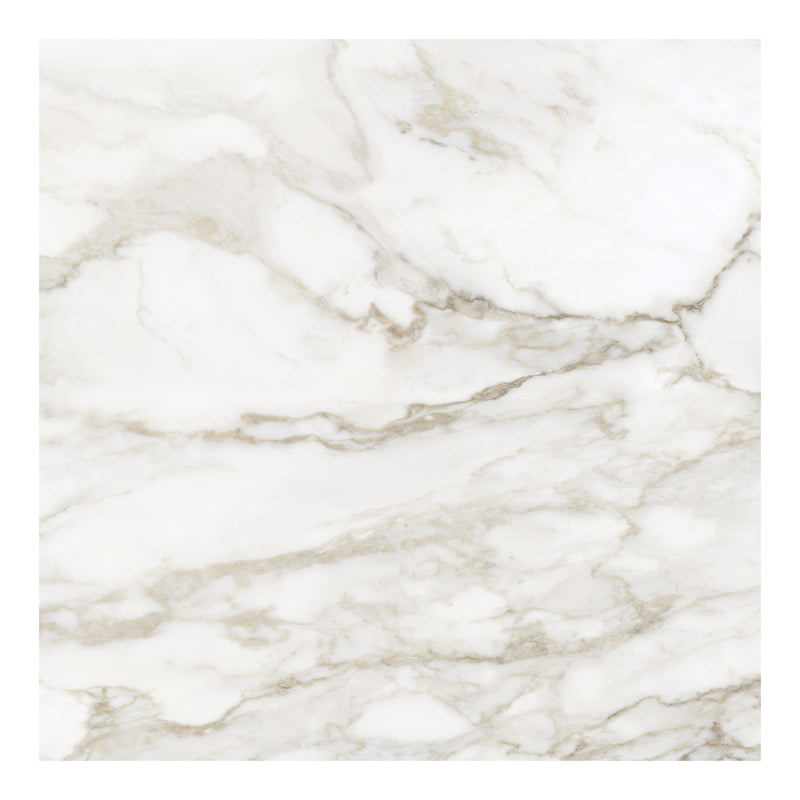 32x32 La Marca Calacatta Paonazzo Honed Rectified Glazed Porcelain Tile