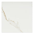 32x32 Calacatta Gold Matte Porcelain Tile (32 CT/PA)