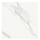 36x36 Majesto Calacatta Borghini Honed Rectified Colorsync Porcelain Tile