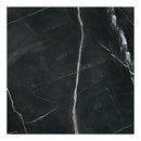 36x36 Majesto Calacatta Noir Honed Rectified Colorsync Porcelain Tile