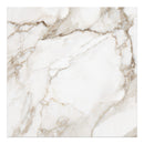 36x36 Majesto Calacatta Oro Honed Rectified Colorsync Porcelain Tile