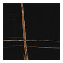 36x36 Majesto Sahara Noir Honed Rectified Colorsync Porcelain Tile