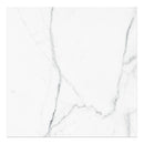 36x36 Majesto Statuario Honed Rectified Colorsync Porcelain Tile