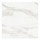 48x48  Majesto Calacatta Borghini Honed Rectified Colorsync Porcelain Tile