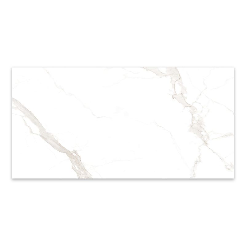 9mm 48x96 Landscape White Porcelain Glazed Slab Final Sale (1200x2400mm)