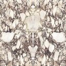 6mm 63x126 Calacatta Viola Block 41 Bookmatch Cut Polished Rectified Sintered Slab