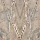 6mm 63x126 Foresta Block 56 Bookmatch Cut Honed Rectified Sintered Slab