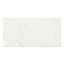 12mm 64x127 Ariel Bianco Block 33 Bookmatch Cut Satin Colorsync Sintered Slab