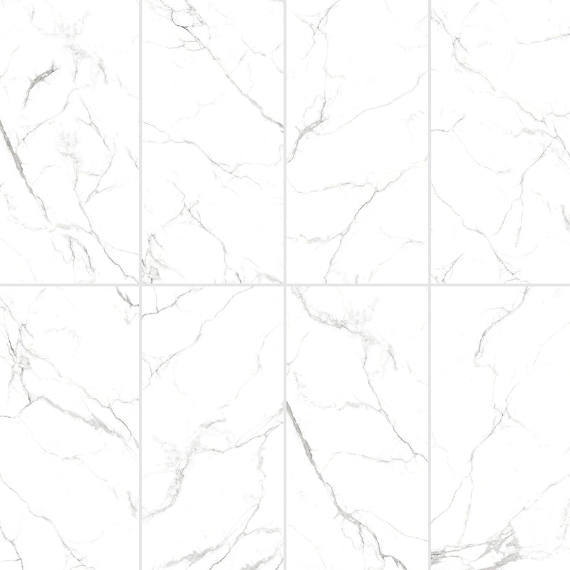 24x48 Neo Oslo Carrara Polished Porcelain Tile