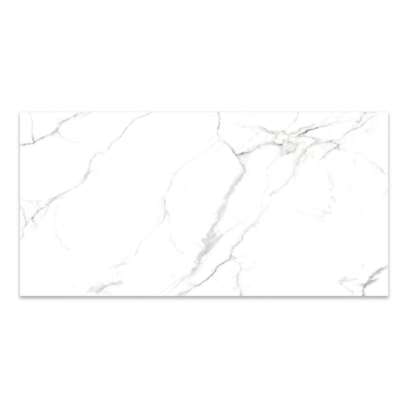 24x48 Neo Oslo Carrara Polished Porcelain Tile