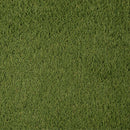 6 ft. x 8 ft. Classic Artificial Green Grass (Pile Height: 25 mm) (48.04 SF/Roll)