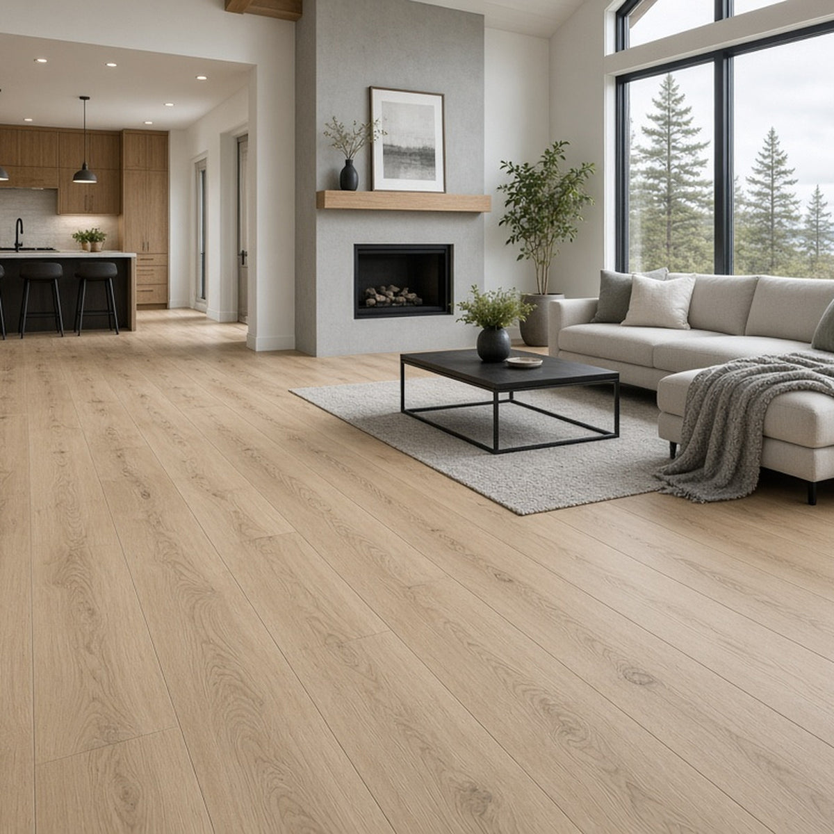 Finished Springhill home interior with new flooring