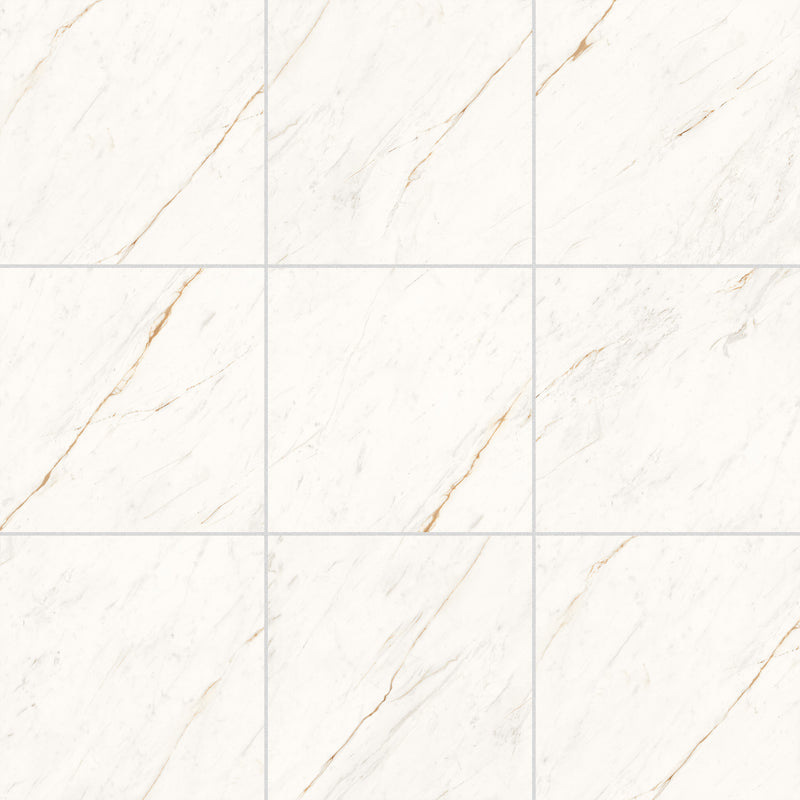 48x48 Apollo Bianco Polished Porcelain Tile