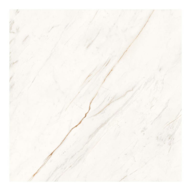 48x48 Apollo Bianco Polished Porcelain Tile