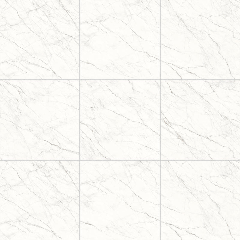 48x48 Carrara Cleo Polished Porcelain Tile