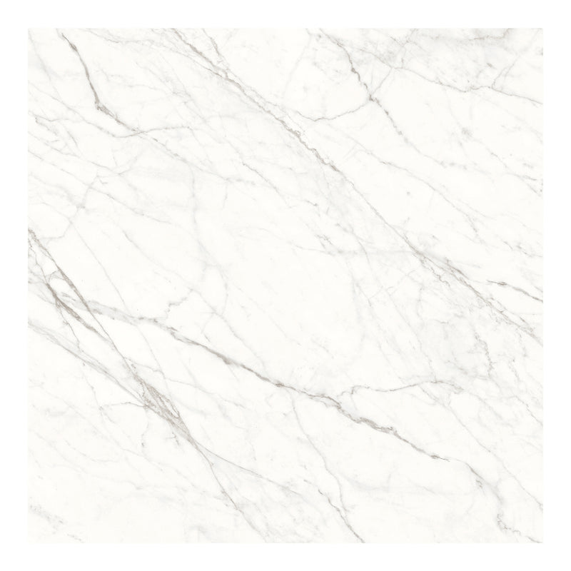 48x48 Carrara Cleo Polished Porcelain Tile