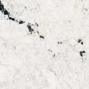 32x54 Velaris Bianco Mist Porcelain Glazed Tile (10mm)