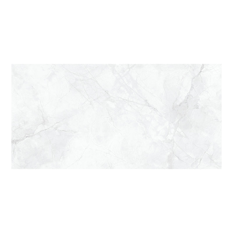 24x48 Splendor White Porcelain Matte Tile