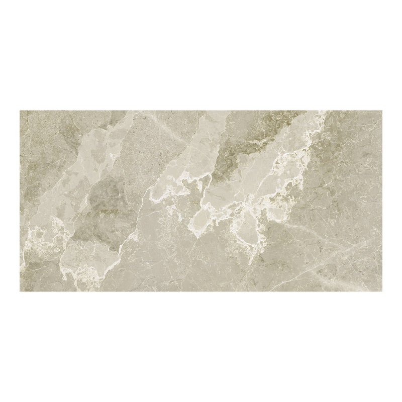 24x48 Galaxy Charm Grey Porcelain Matte Tile