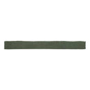 2x18 Flamenco Racing Green Glossy Porcelain Tile