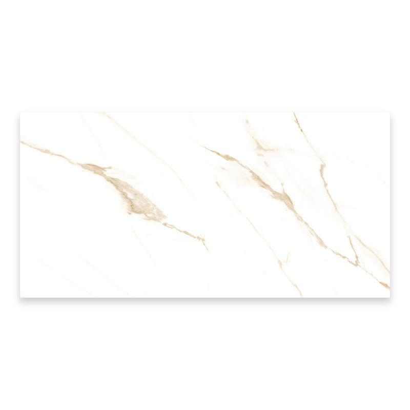 24x48 San Marino Gold Matte Porcelain Tile (Approx. 16 sf/box)