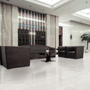 24x24 Aria Ice Polished Porcelain Tile