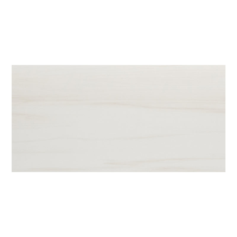 24x48 Eden Dolomite Matte Porcelain Tile (Approx. 16 sf/box)