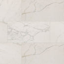 24x48 Regallo Calacatta Isla Matte Porcelain Tile