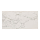 24x48 Regallo Calacatta Isla Matte Porcelain Tile