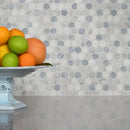 Azula Hexagon Polished Marble Mosaic