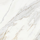 24x24 Majesto Calacatta Borghini Honed Rectified Colorsync Porcelain Tile