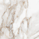 24x24 Majesto Calacatta Oro Honed Rectified Colorsync Porcelain Tile