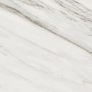 36x36 Majesto Calacatta Cremo Polished Rectified Colorsync Porcelain Tile